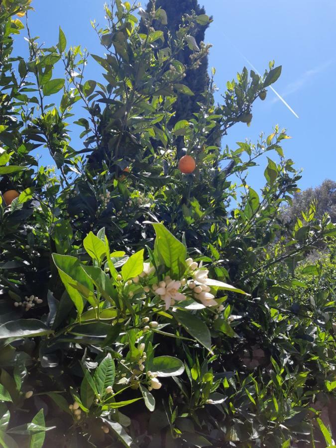 Вілла Crapa Licca Ventimiglia di Sicilia Екстер'єр фото